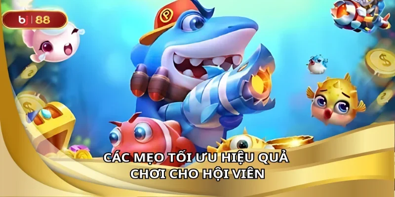 Các mẹo tối ưu hiệu quả chơi cho hội viên